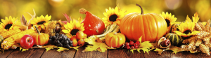 thanksgiving-newsletter-image