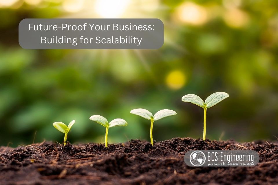 Future-Proof Your Business: Building for Scalability