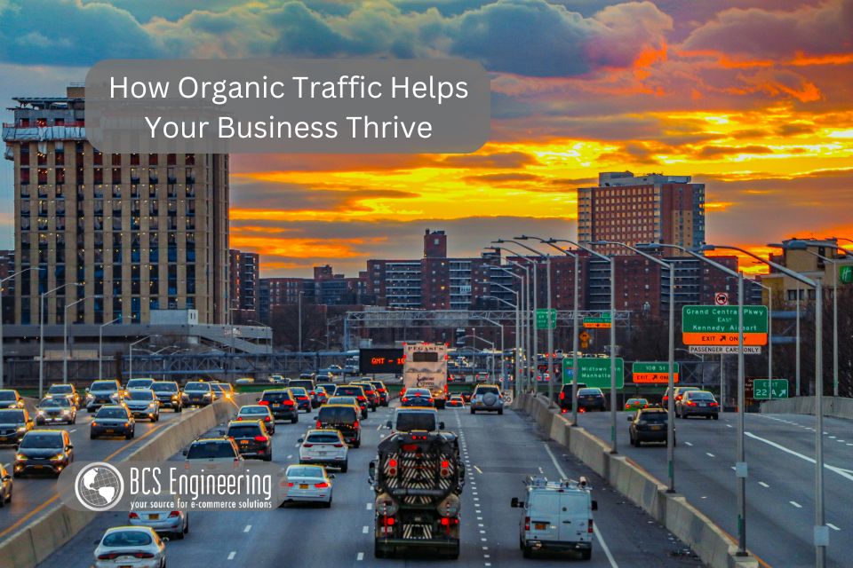 How Organic Traffic Helps Your Business Thrive